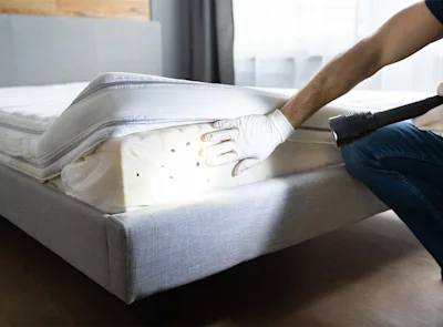 How much does bed bug treatment cost?