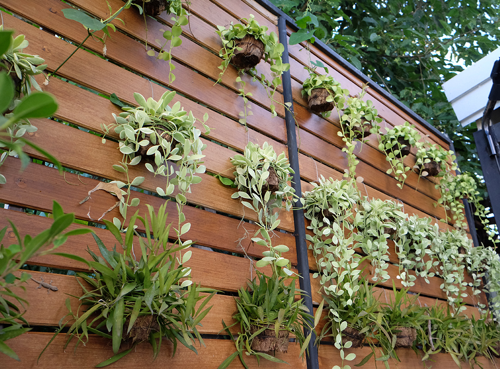 Garden design ideas: Create a landscaped garden in any outdoor space