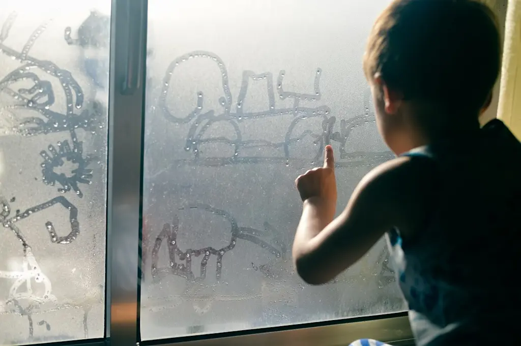 How to stop condensation on windows: expert tips and solutions