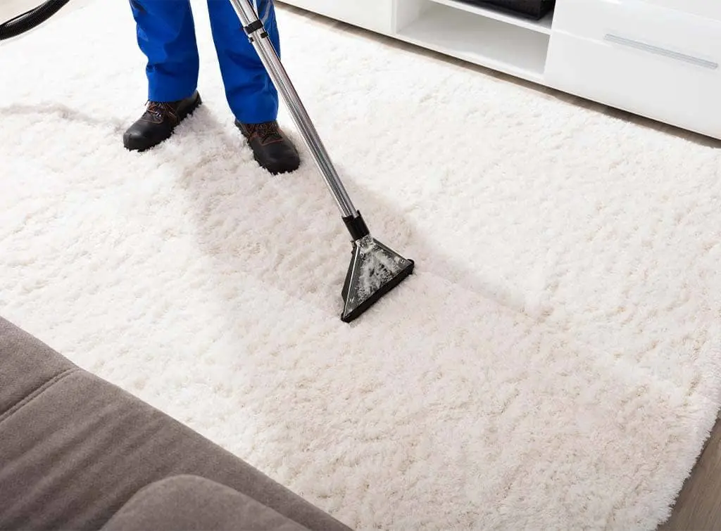 Rug cleaning cost guide