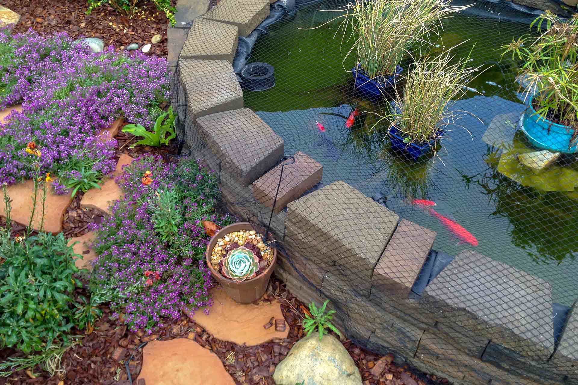 Raised pond ideas for a stylish garden