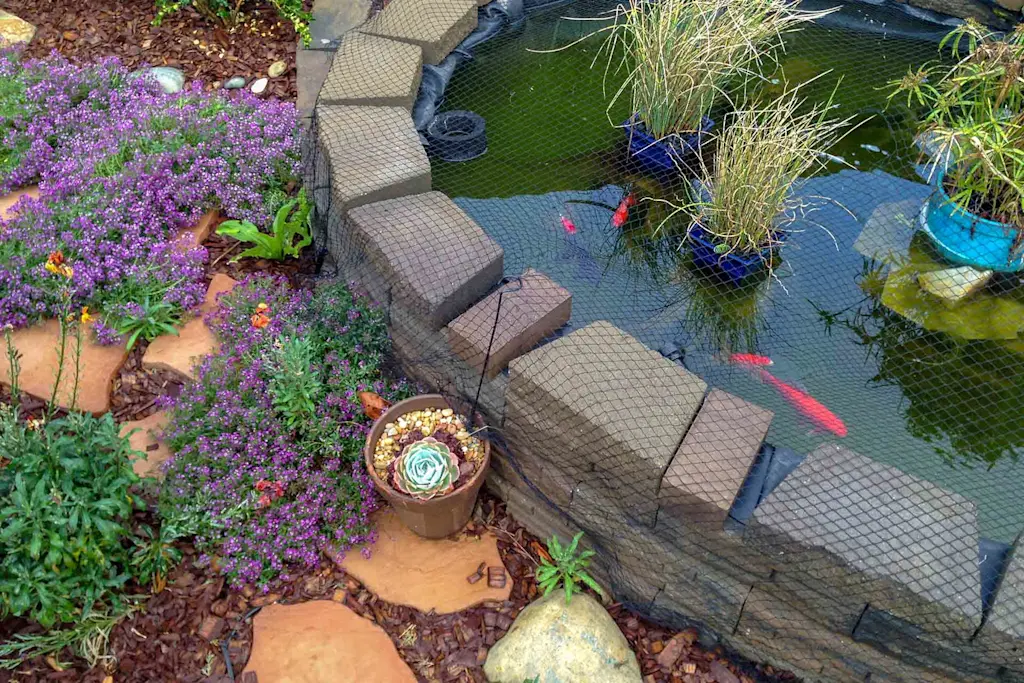 Raised pond ideas for a stylish garden