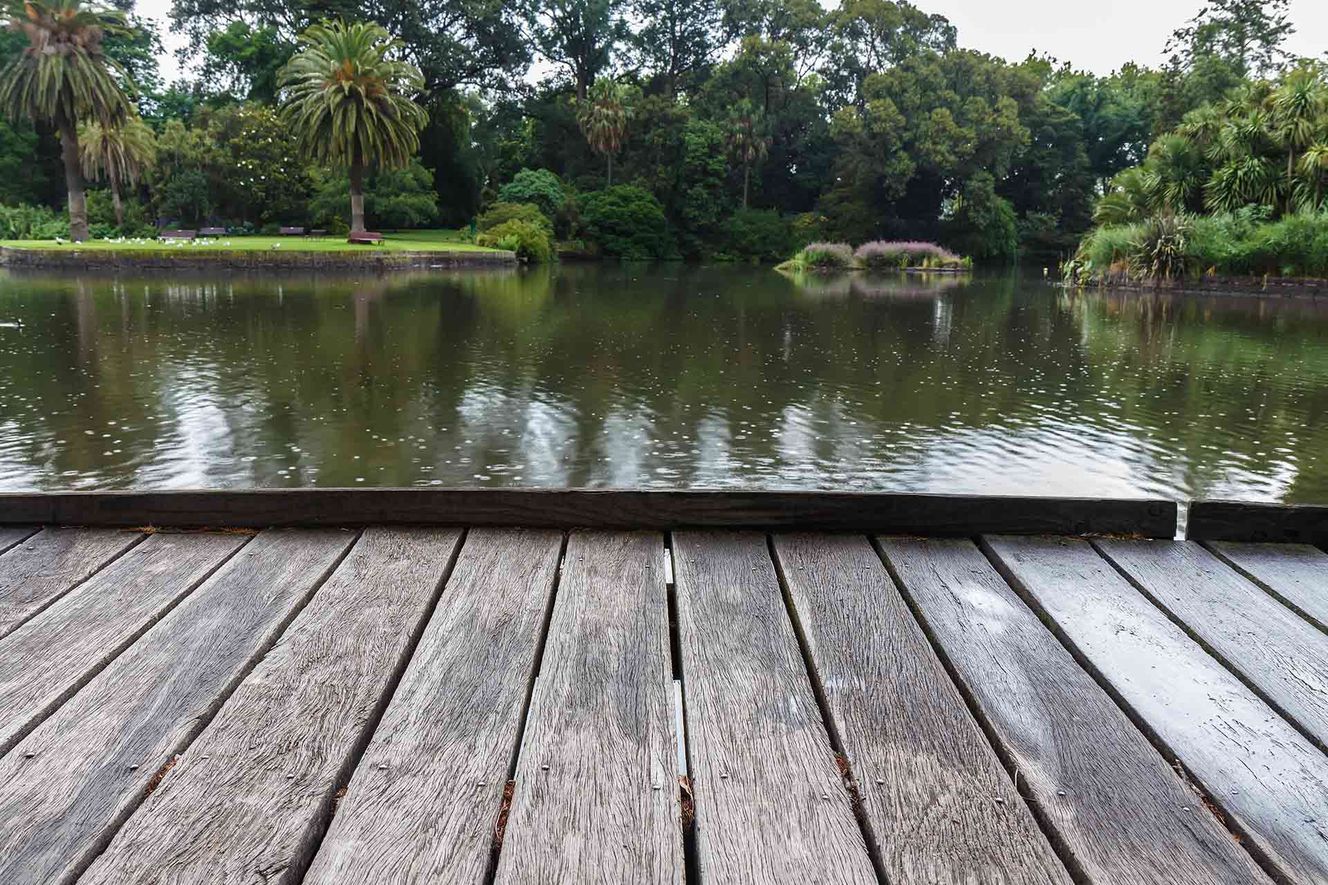Raised wooden pond ideas: Inspiring designs