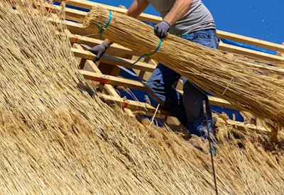 Thatched roofing costs