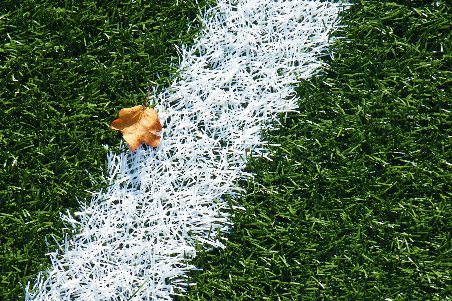 Cost to build a garden rugby pitch &#8211; get match ready
