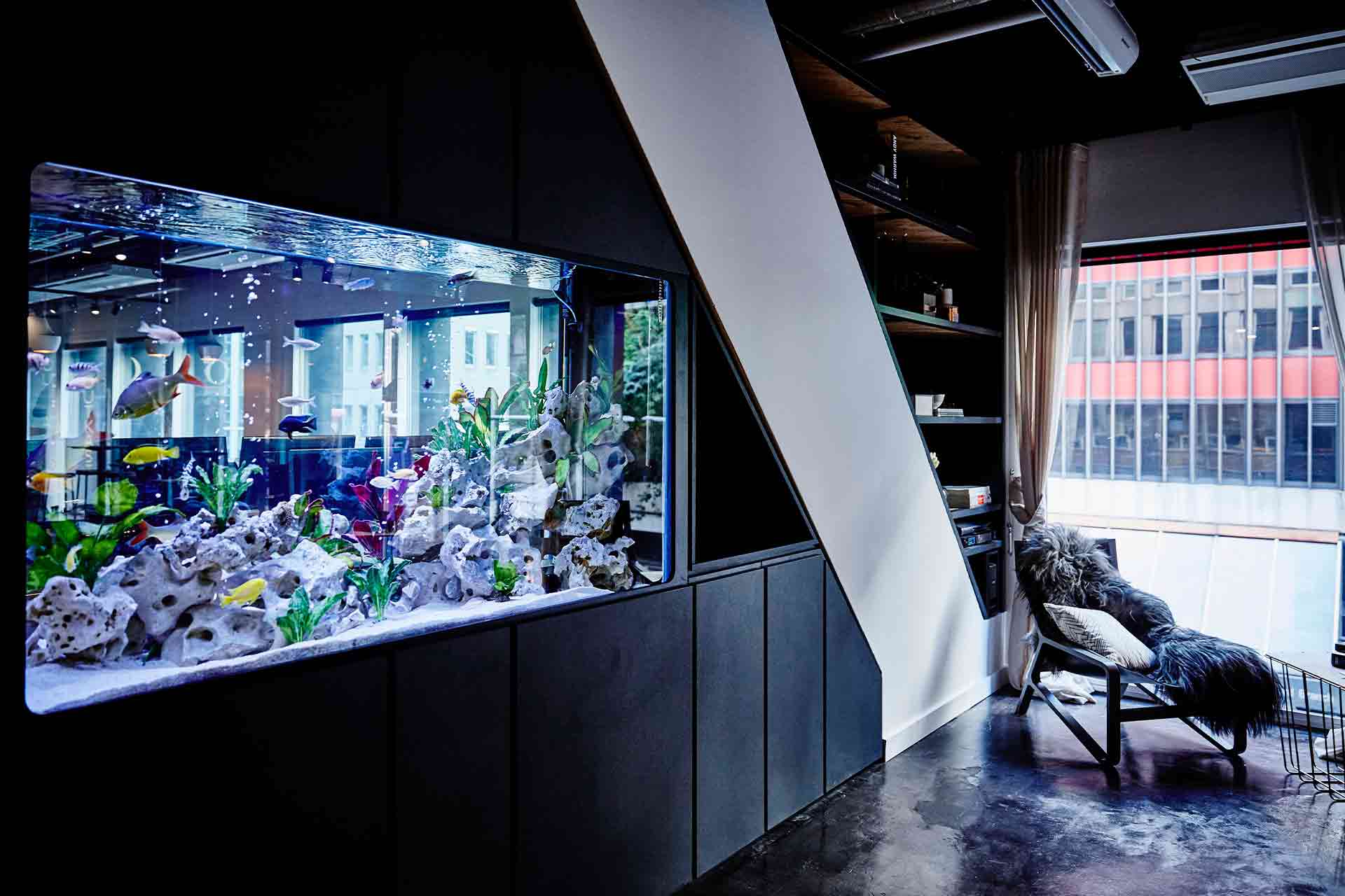 Fish tank in wall cost guide