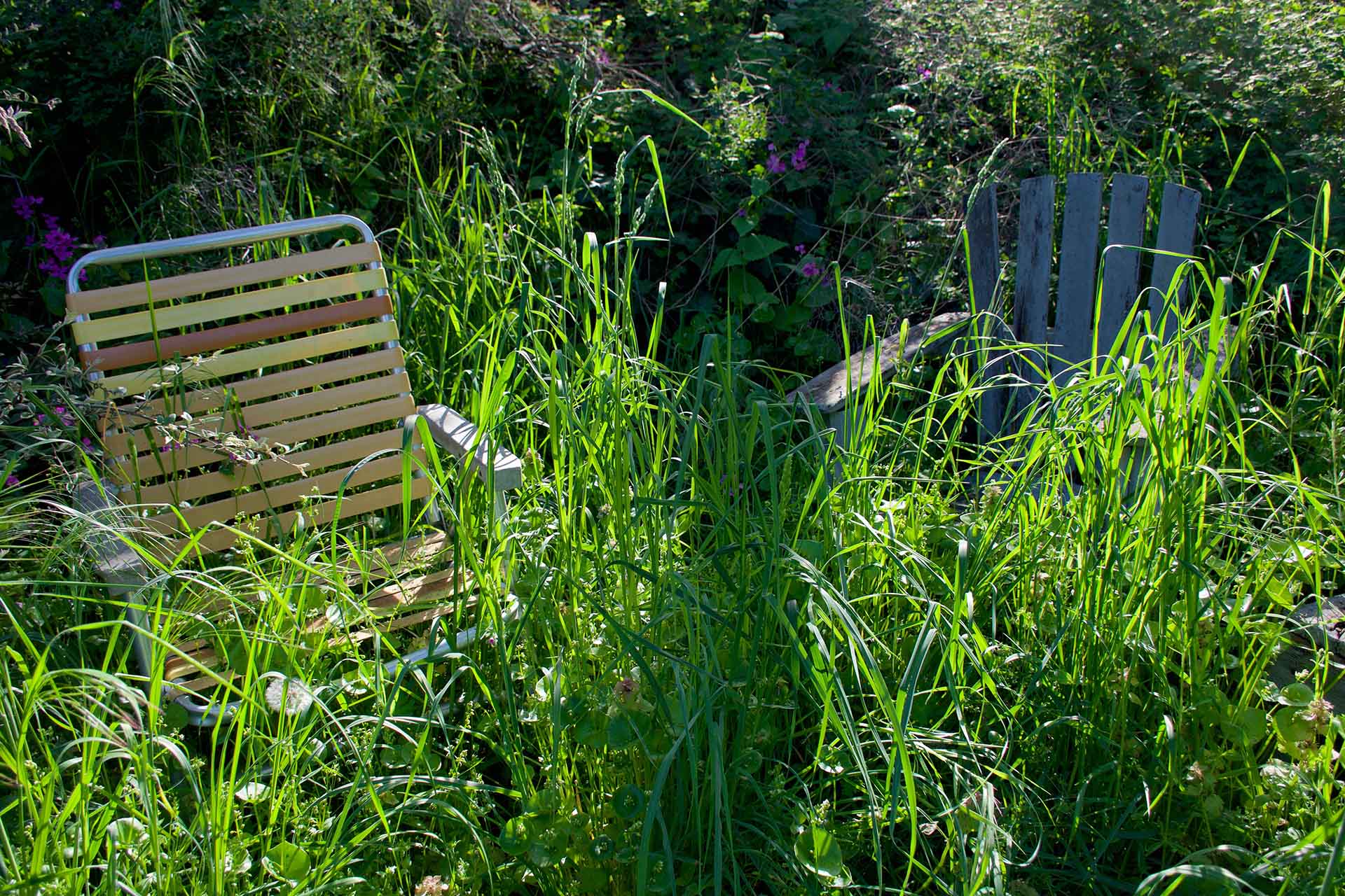 Landlord garden responsibilities explained