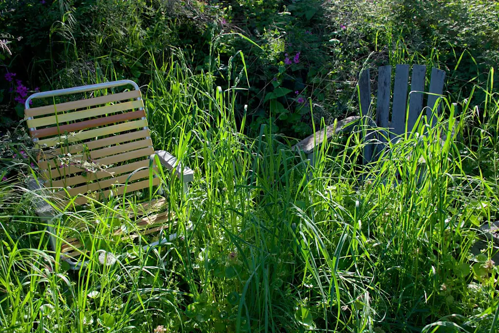 Landlord garden responsibilities explained