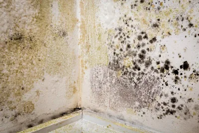 Damp proofing: Cost breakdown 2025