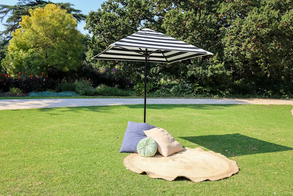 How to revive a tired lawn