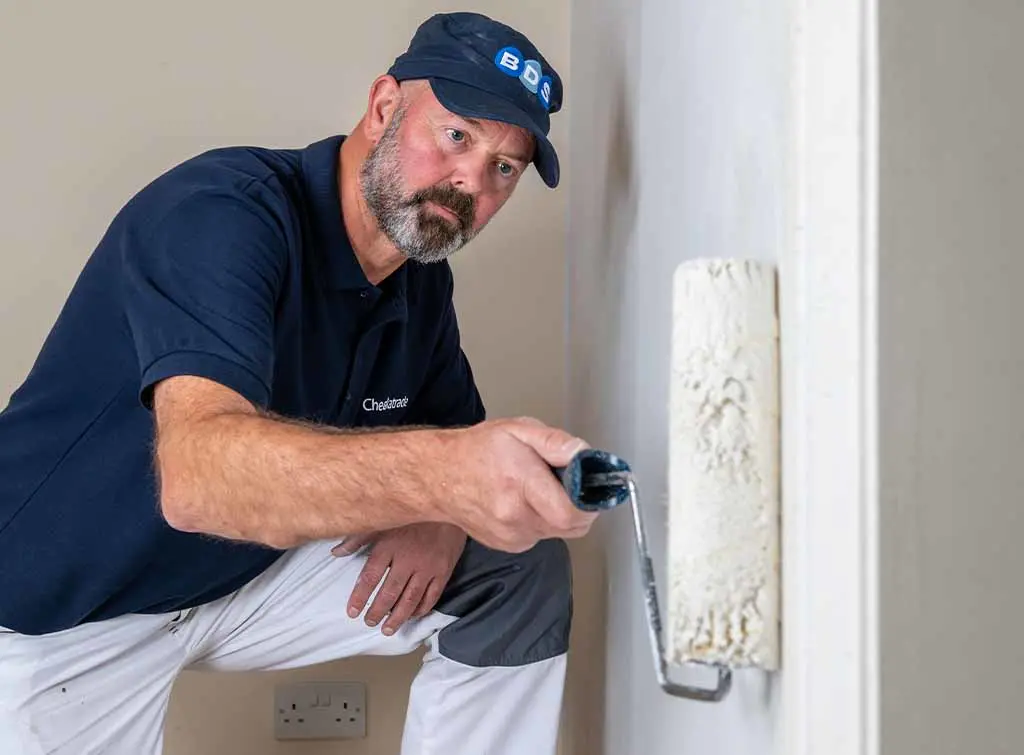 Can you fix paint on wet plaster?