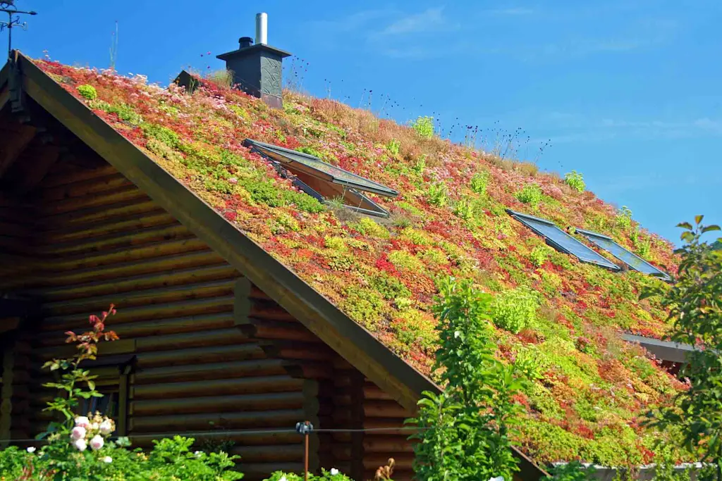 Green roof cost guide