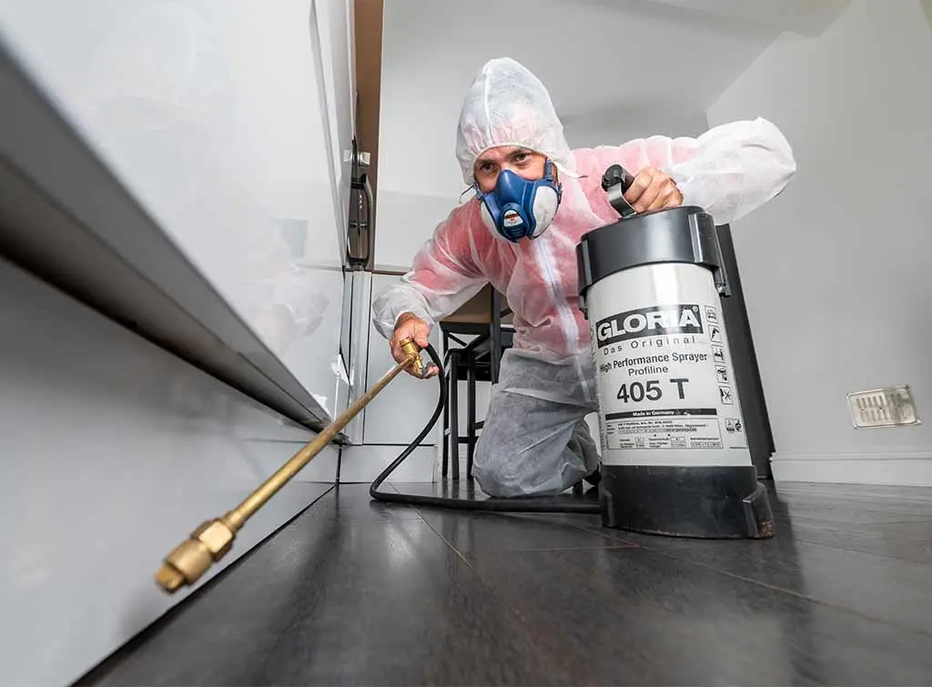 Want to win more work with pest control marketing ideas?