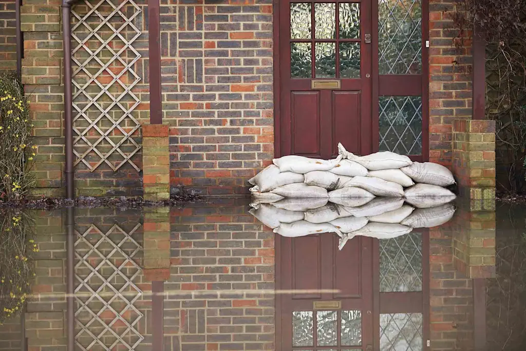 How much does water removal cost?