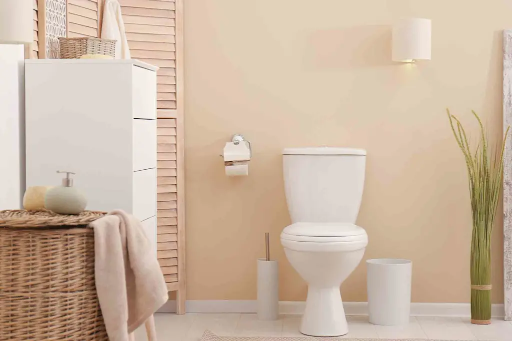 How to fix a toilet flush button