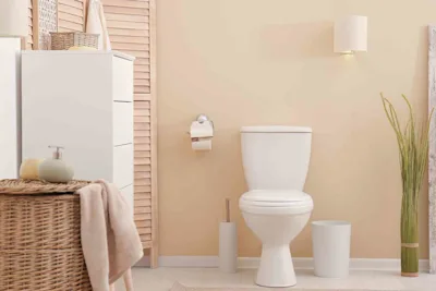 How to fix a toilet flush button