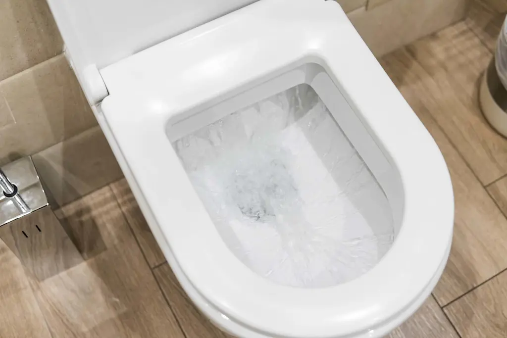 What to do if your toilet is not flushing properly