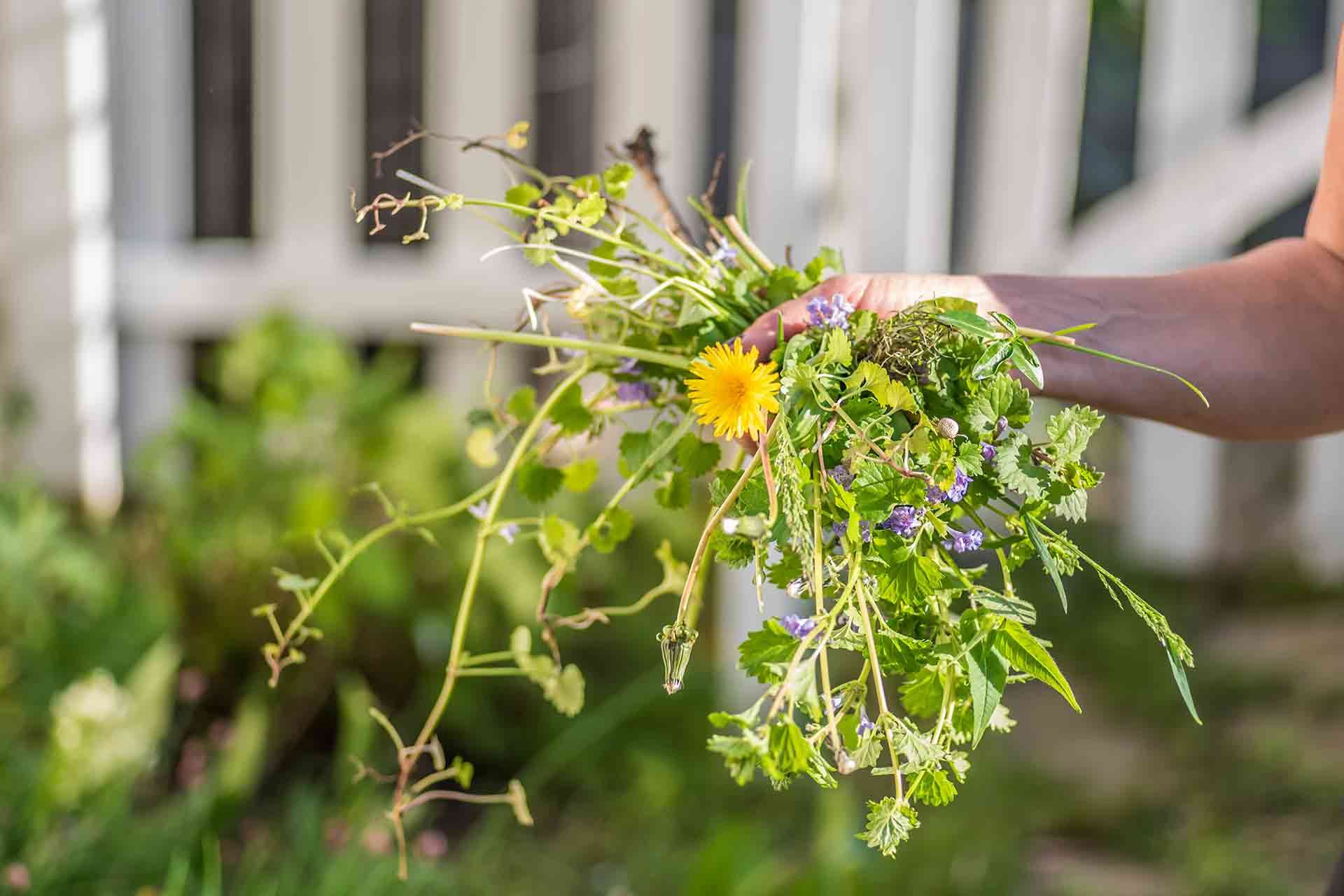 How to clear a garden full of weeds