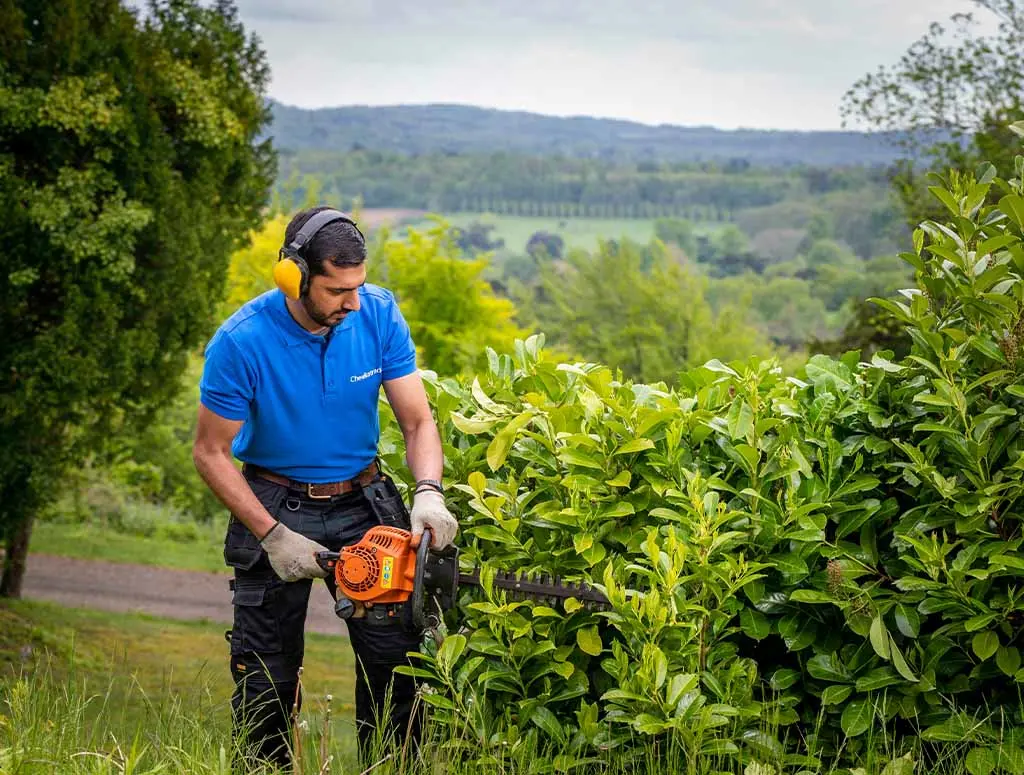 Social media marketing ideas for gardeners and landscapers