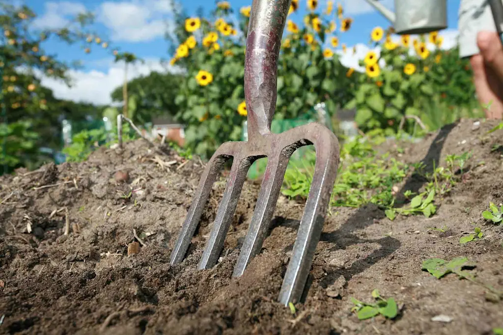 Allotment ideas for the green fingered environmentalist