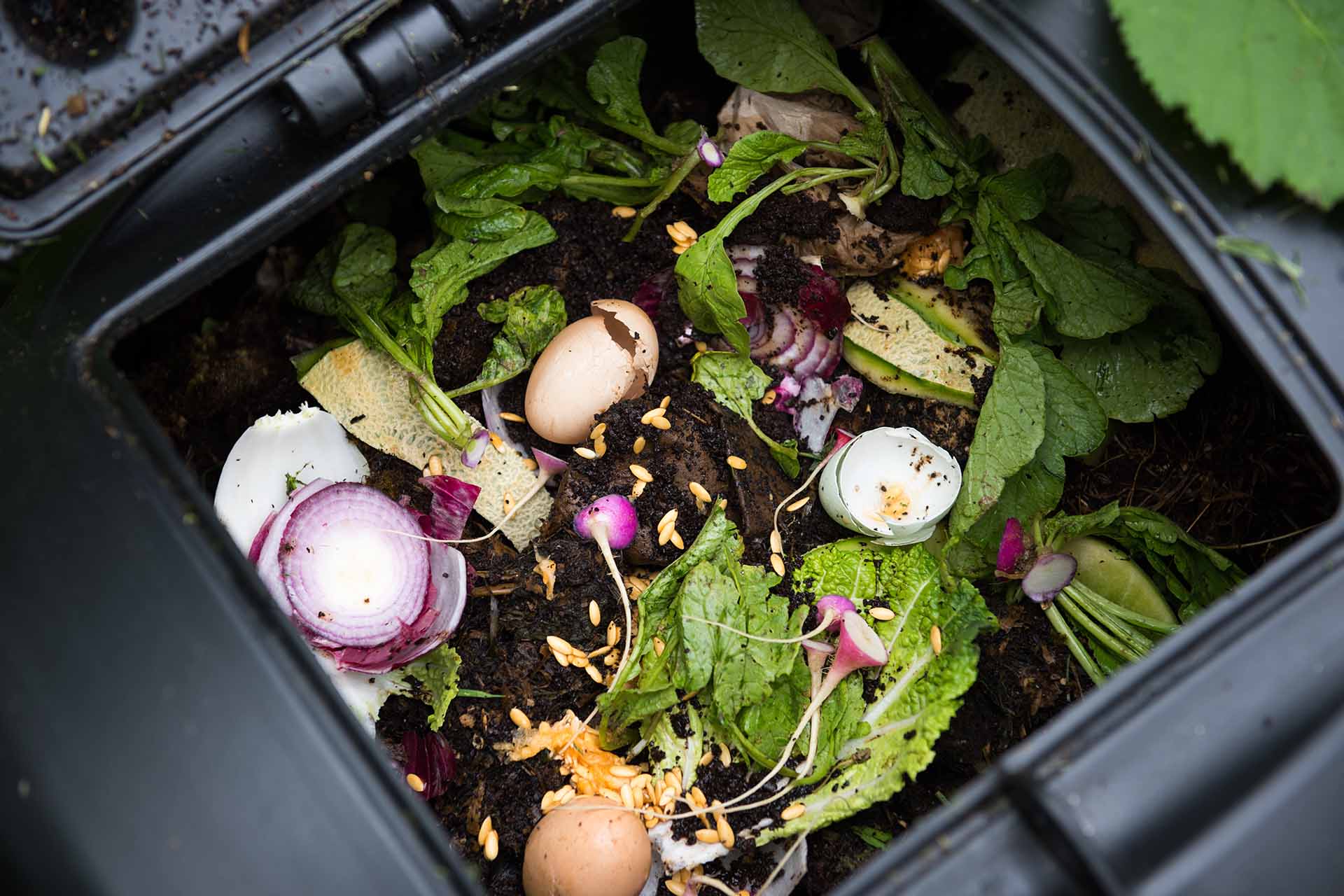 How to build a compost bin in 4 easy steps