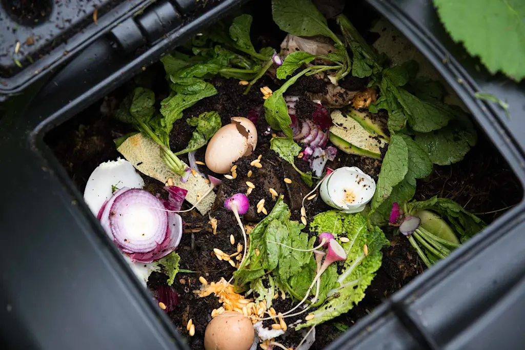 How to build a compost bin in 4 easy steps