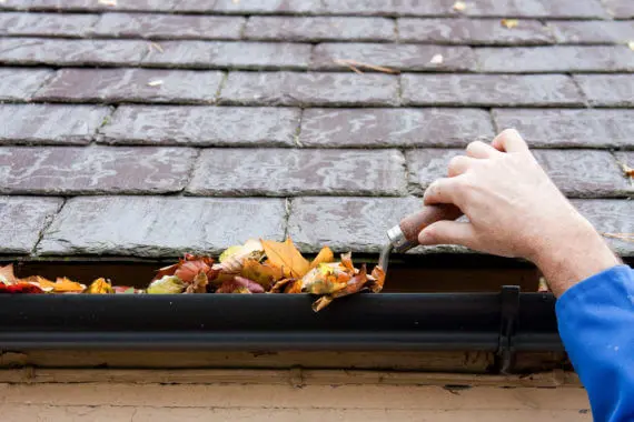Cleaning the gutters in May: Why it’s the best time