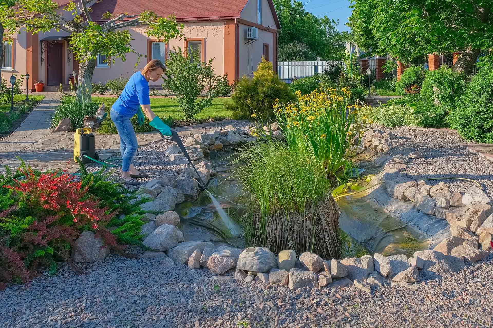 Pond cleaning cost