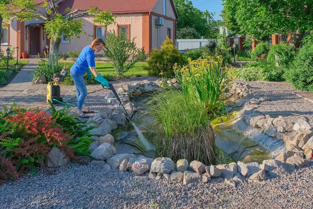 Pond cleaning cost