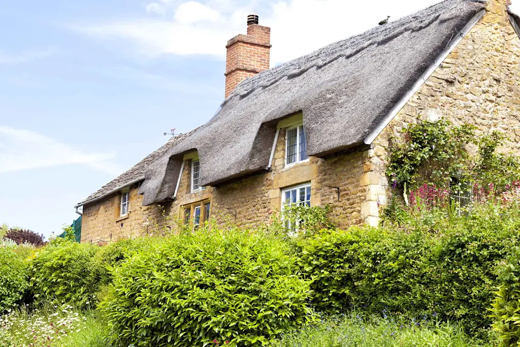 How much does it cost to remove shrubs from your garden?