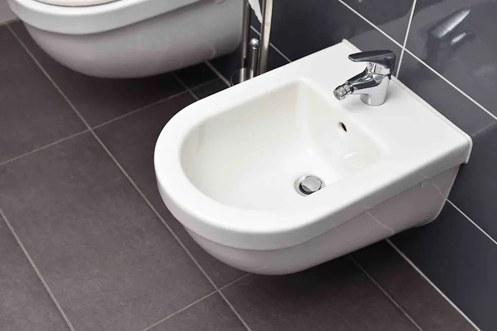Bidet installation cost guide