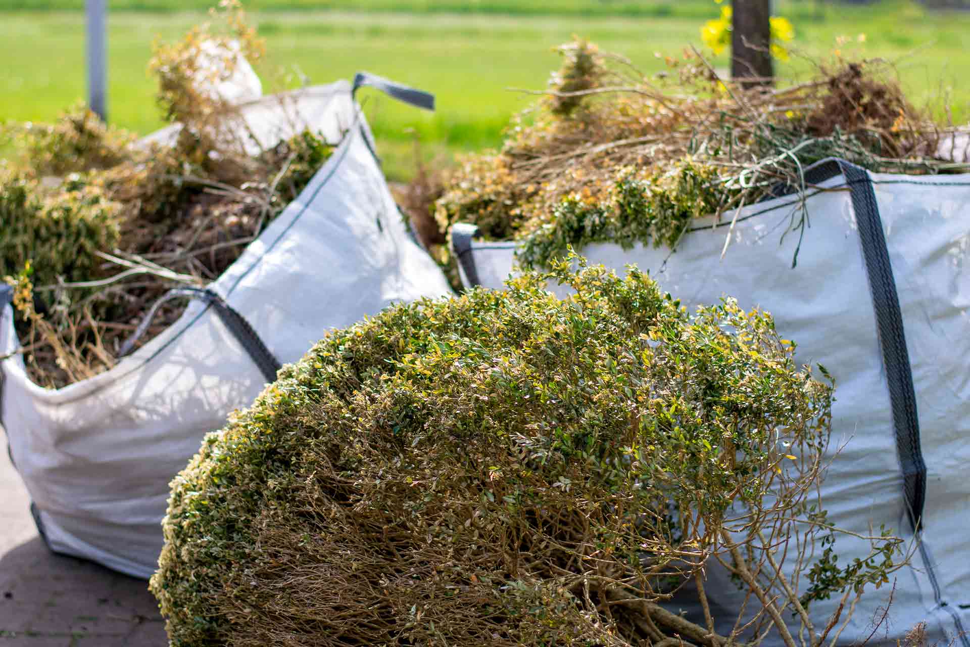 Garden waste removal cost guide