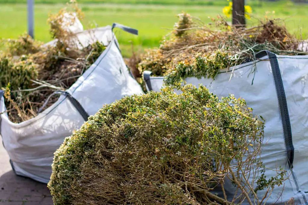 Garden waste removal cost guide