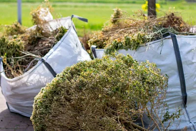 Garden waste removal cost guide