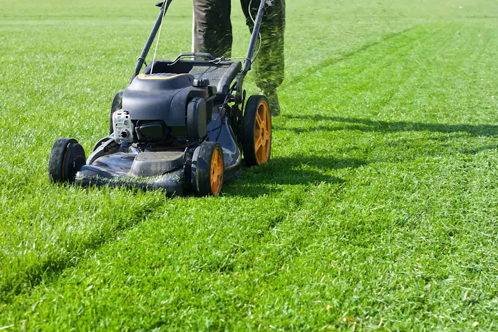 Your step-by-step on how to mow a lawn