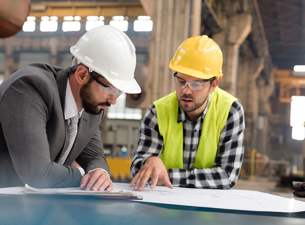 What is the role of the HSE?