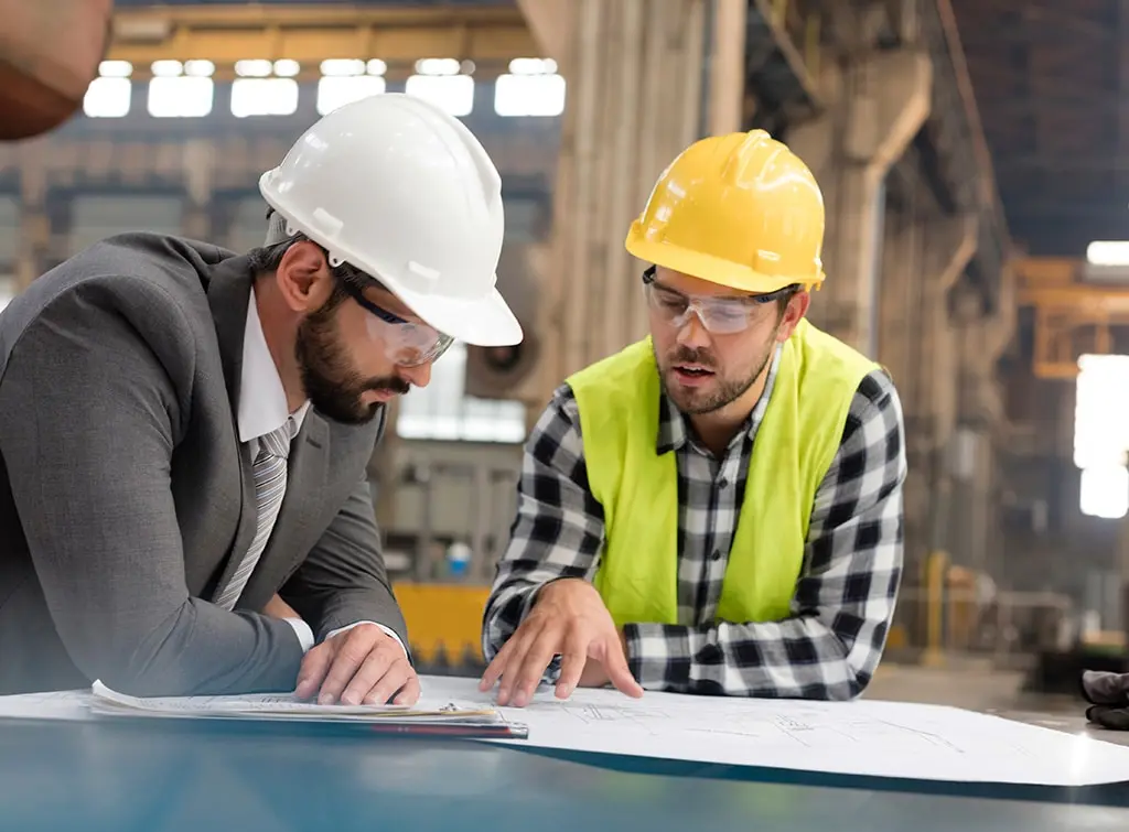 What is the role of the HSE?