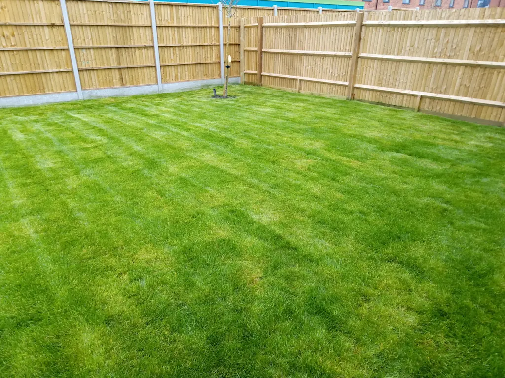 Hiring lawn care and grass cutting services