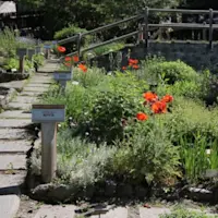 Botanical Garden