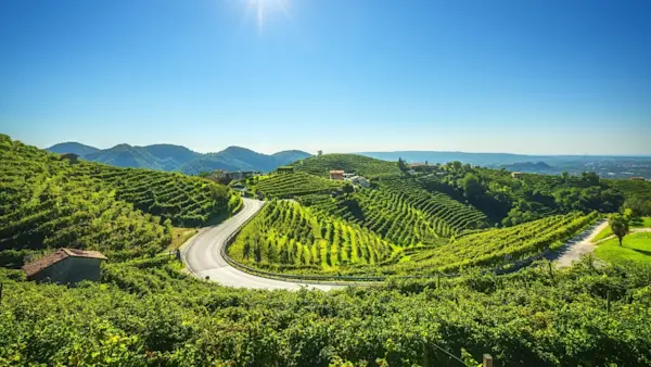 Prosecco Cycling