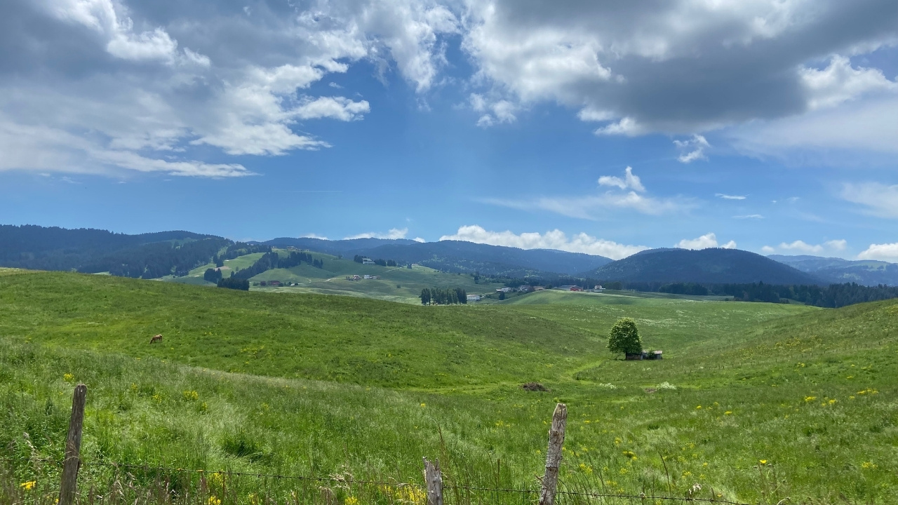 asiago-landsacpe-hills