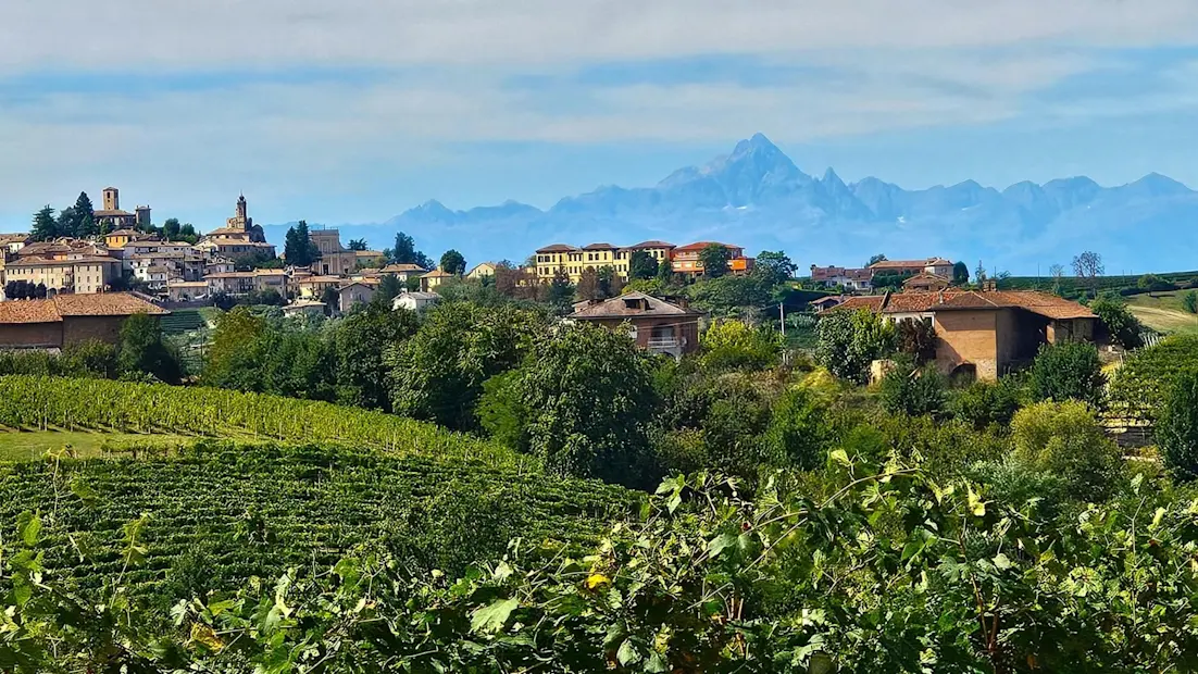 Splash Image - Langhe+ Alps