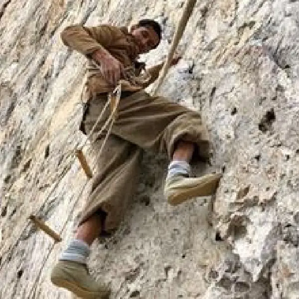 Mountain Climbers