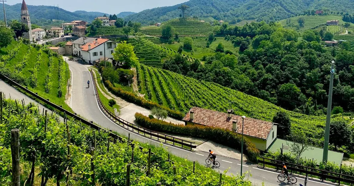 GF Hills and Prosecco
