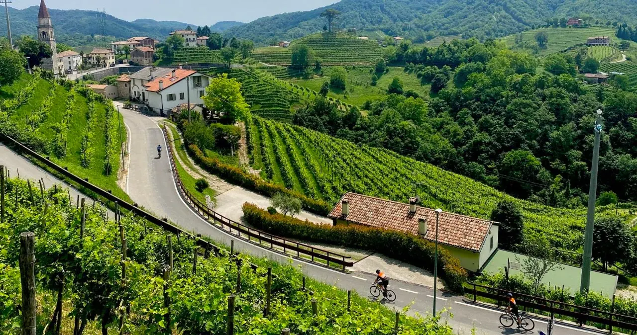 GF Hills and Prosecco
