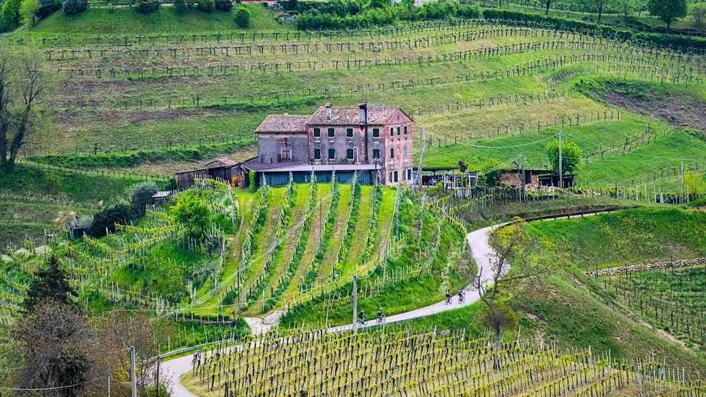 Nova Eroica Bike Tour-Landscape