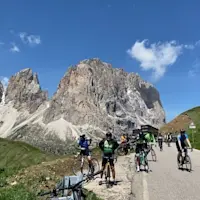 The Saslonch