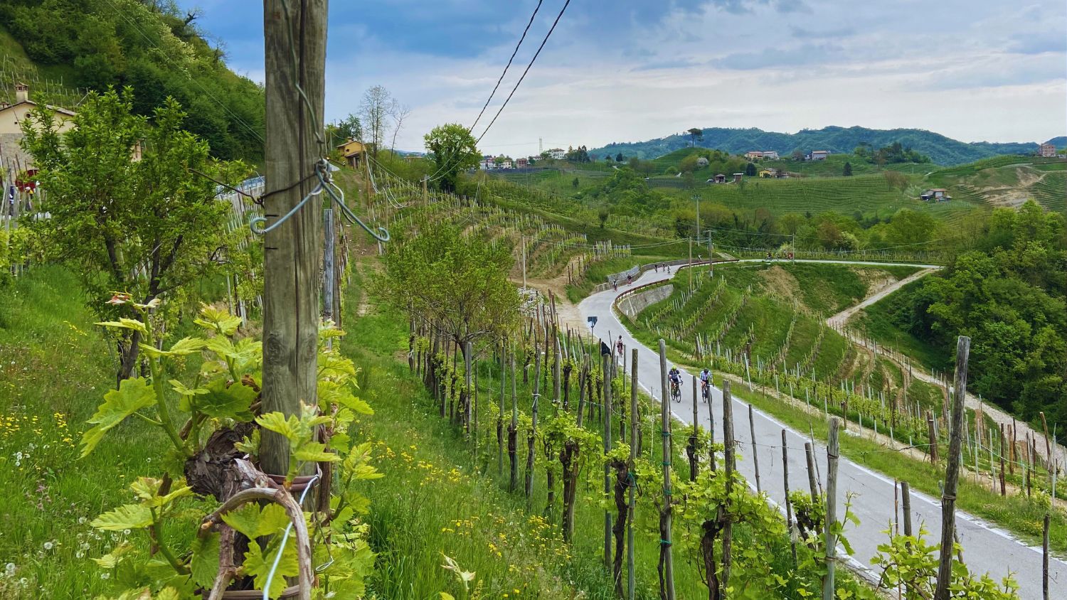 Nova Eroica-Bike-Tour-Prosecco-Hills