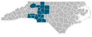 Blue Cross Individual And Family Insurance In Gaston County Health 