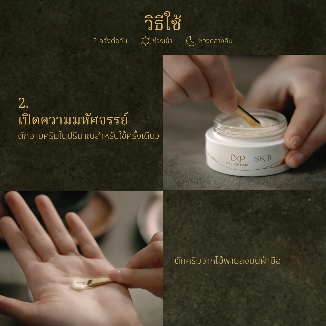 LXP Eye Cream - Gallery - 08